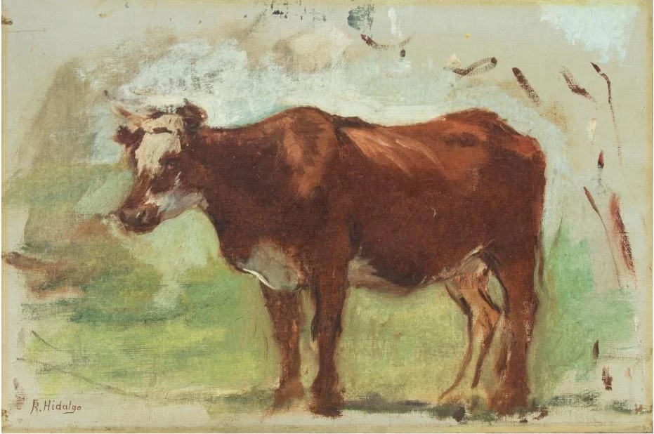 Mucca